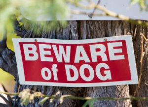 A red and white sign that reads "Beware of Dog"