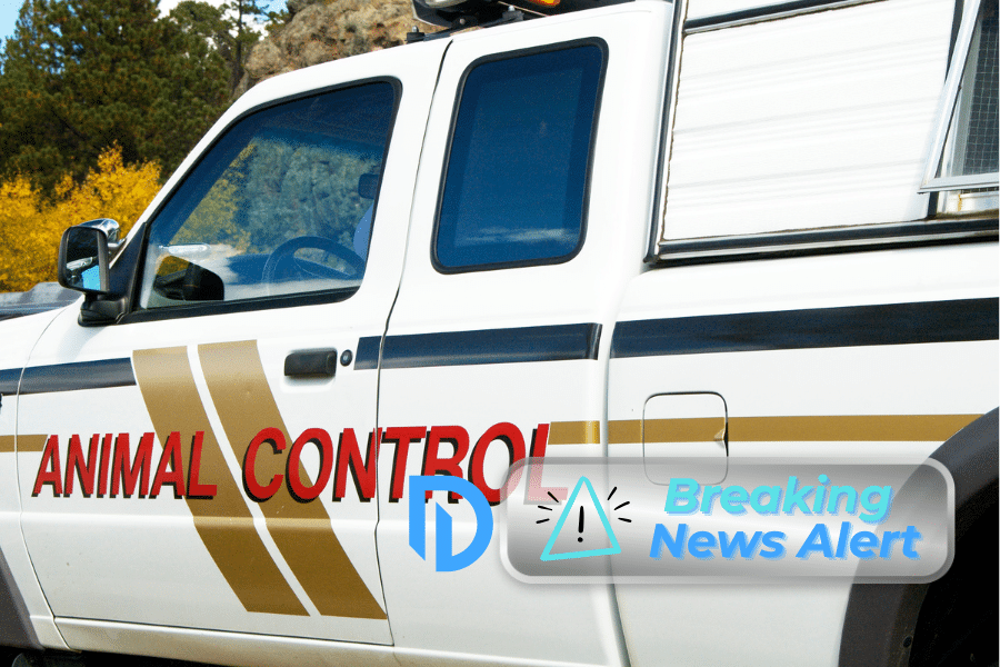 Animal control truck with "Breaking News" logo overlay on the bottom right corner