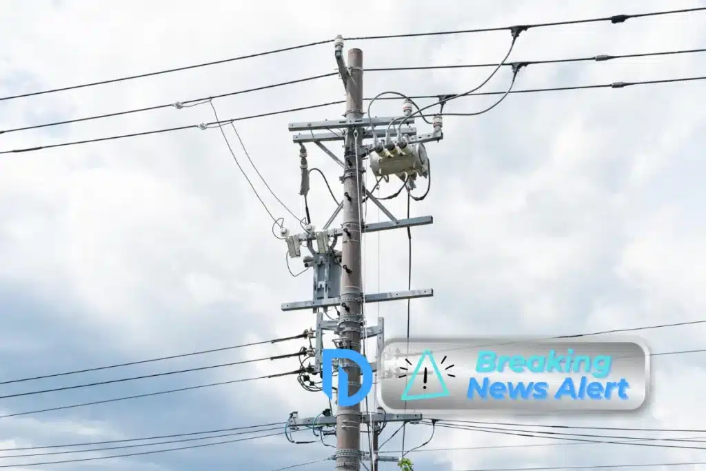 Power lines and a utility pole in MA