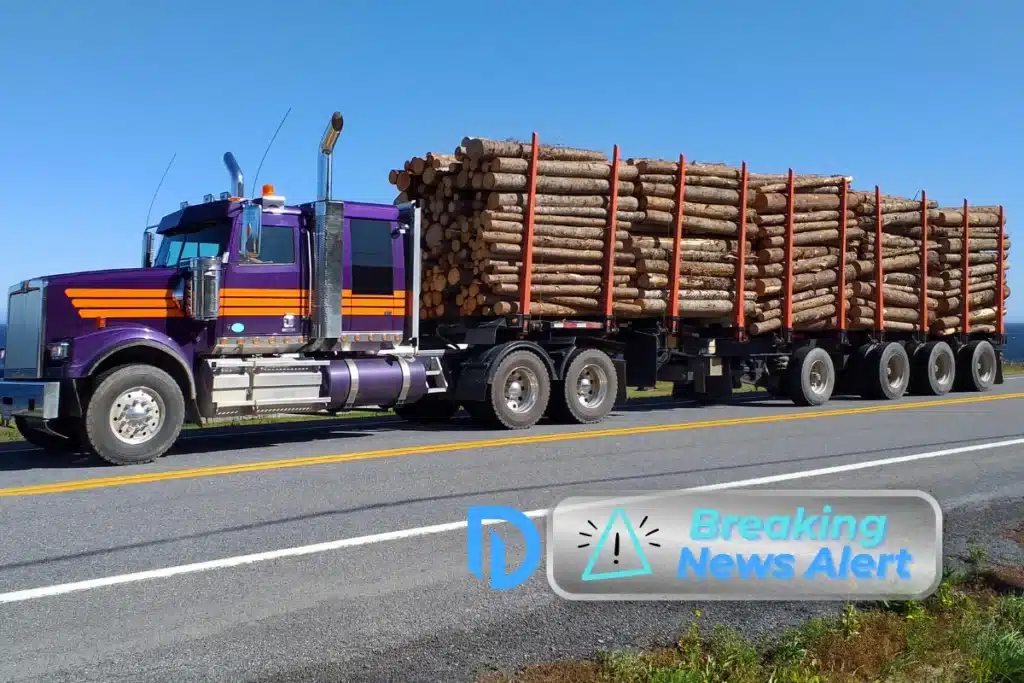 Greta Wold, 34, of Lisbon, Died in Fatal Pedestrian Accident With Tractor-Trailer Truck Carrying Logs on Route 12. Image of trailer carrying logs