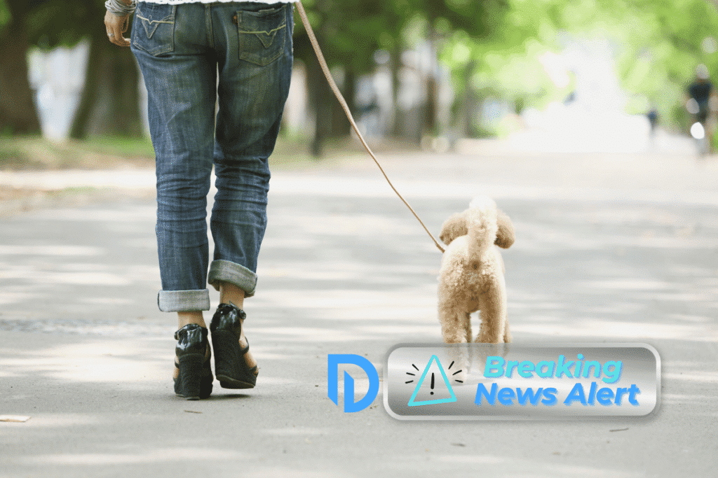 a person walking a dog on a leash